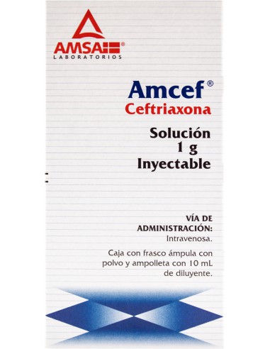 Amcef I.V Sol. Iny. 1 g Amp. 10 mL
