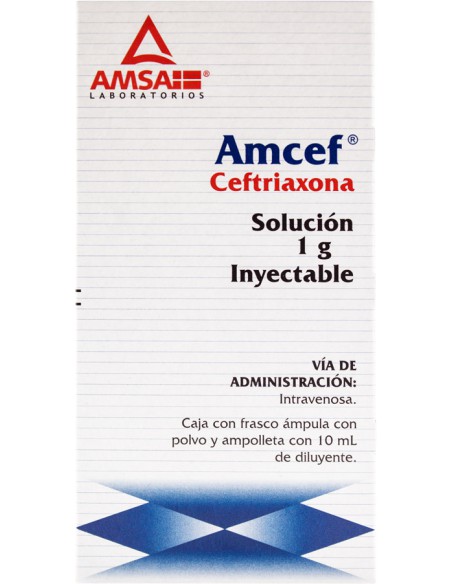 Amcef I.V Sol. Iny. 1 g Amp. 10 mL