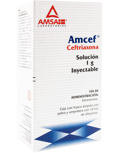Amcef I.V Sol. Iny. 1 g Amp. 10 mL