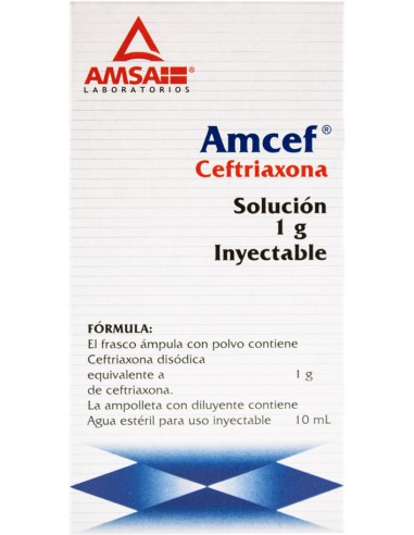 Amcef I.V Sol. Iny. 1 g Amp. 10 mL
