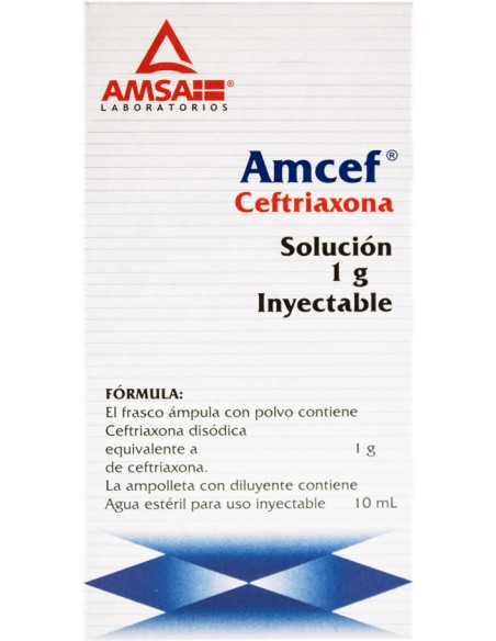 Amcef I.V Sol. Iny. 1 g Amp. 10 mL