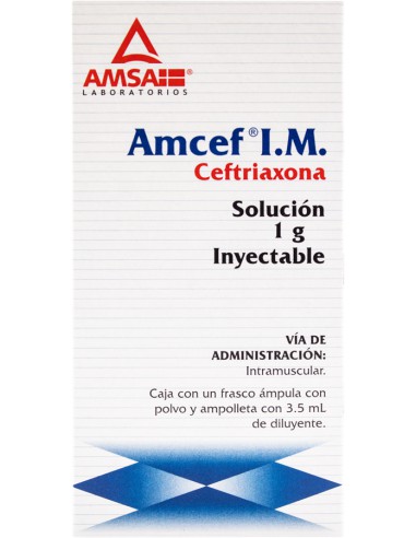Amcef I.M Sol. Iny. 1 g Amp. 3.5 mL