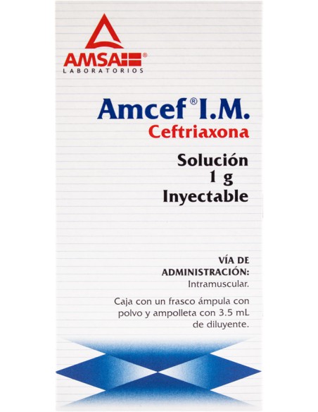 Amcef I.M Sol. Iny. 1 g Amp. 3.5 mL