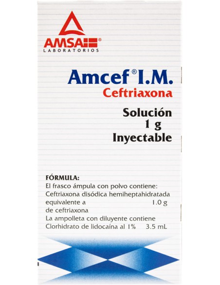 Amcef I.M Sol. Iny. 1 g Amp. 3.5 mL
