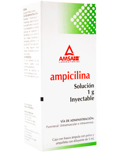 Ampicilina Sol. Iny 1 g Amp. 5mL. (Amsa)