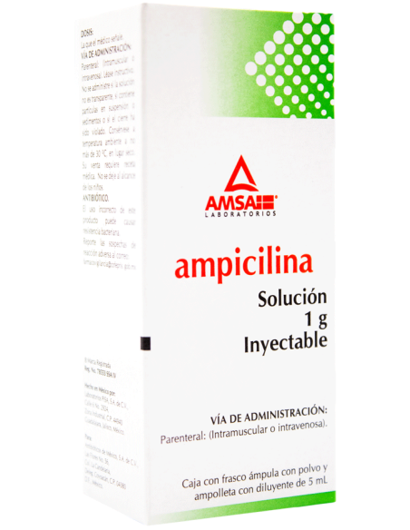 Ampicilina Sol. Iny 1 g Amp. 5mL. (Amsa)