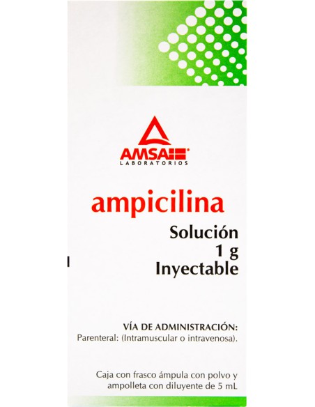 Ampicilina Sol. Iny 1 g Amp. 5mL. (Amsa)