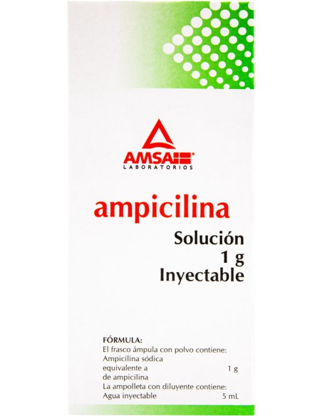 Ampicilina Sol. Iny 1 g Amp. 5mL. (Amsa)