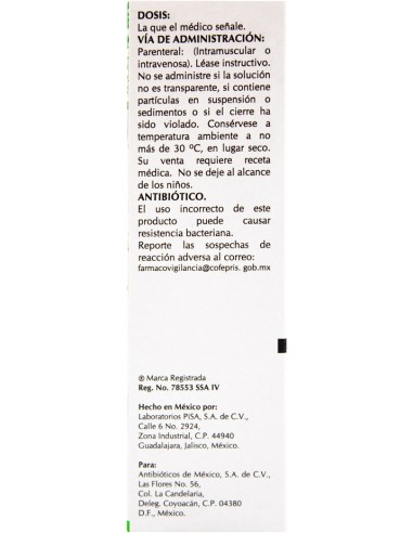 Ampicilina Sol. Iny 1 g Amp. 5mL. (Amsa)