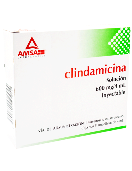 Clindamicina Sol. Iny. 600 mg Amp. C/5 (Amsa)
