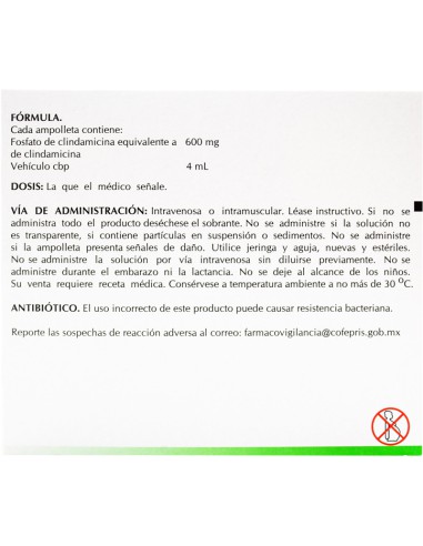 Clindamicina Sol. Iny. 600 mg Amp. C/5 (Amsa)