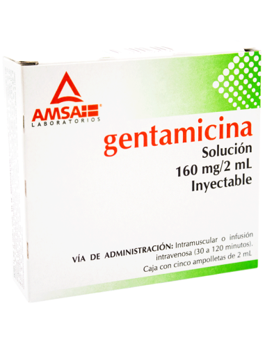 Gentamicina Sol. Iny. 160 mg Amp. C/5 (Amsa)