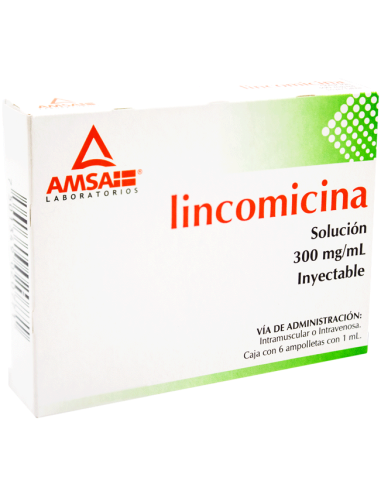 Lincomicina Sol. Iny. 300 mg Amp. C/6 (Amsa)