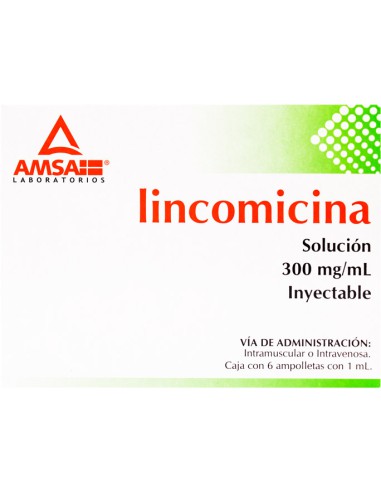 Lincomicina Sol. Iny. 300 mg Amp. C/6 (Amsa)