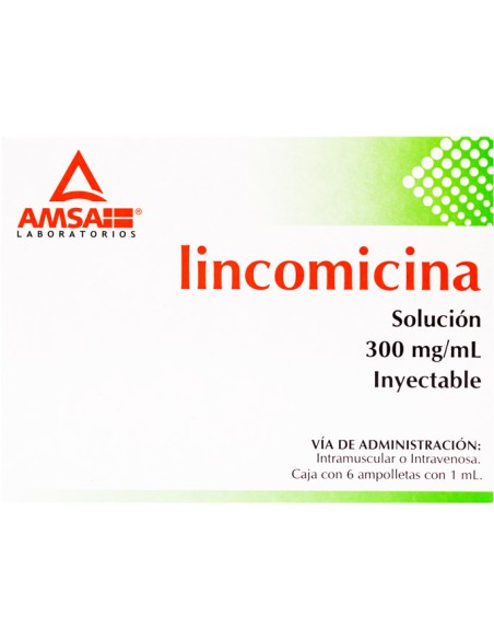 Lincomicina Sol. Iny. 300 mg Amp. C/6 (Amsa)