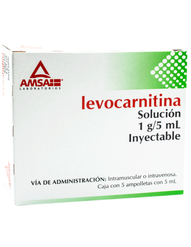 Levocarnitina Sol.Iny. C/5 Amp. 1g/5 ml (Amsa)