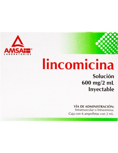 Lincomicina Sol. Iny. 600 mg Amp. C/6 (Amsa)