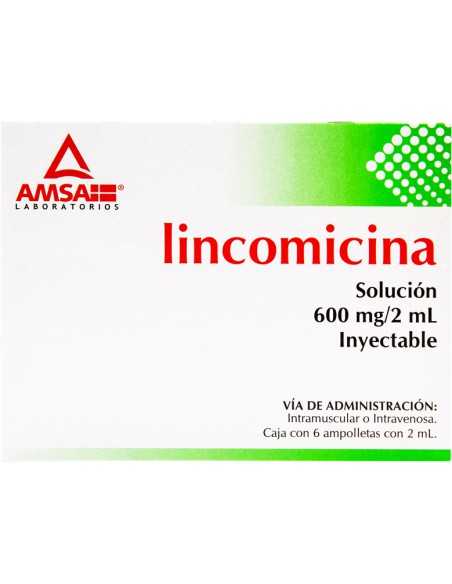 Lincomicina Sol. Iny. 600 mg Amp. C/6 (Amsa)