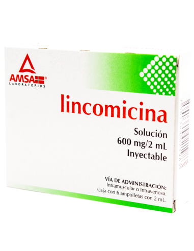 Lincomicina Sol. Iny. 600 mg Amp. C/6 (Amsa)