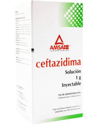 Ceftazidima Sol. Iny 1g Amp. 3mL (Amsa)