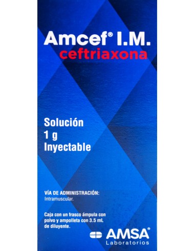 Amcef I.M Sol. Iny. 1 g Amp. 3.5 mL