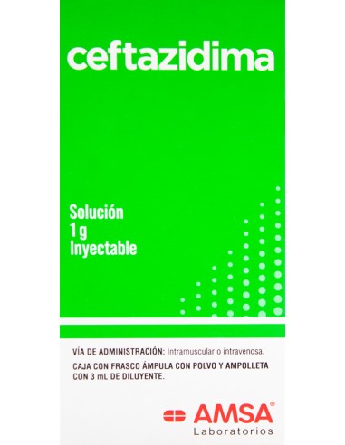 Ceftazidima Sol. Iny 1g Amp. 3mL (Amsa)