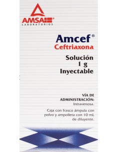 Amcef I.V Sol. Iny. 1 g Amp. 10 mL