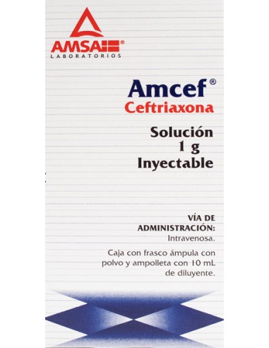 Amcef I.V Sol. Iny. 1 g Amp. 10 mL