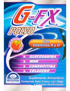G-FX Polvo Fco 250g