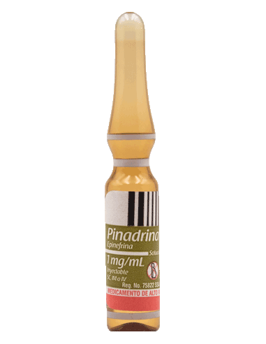 Pinadrina Sol Iny 1mg/ Ml Amp C/1