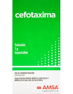 Cefotaxima Sodica IM Sol. Iny. 1 g Amp. 4 mL (Amsa)