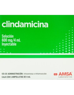 Clindamicina Sol. Iny. 600 mg Amp. C/5 (Amsa)