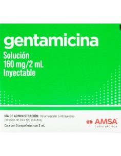 Gentamicina Sol. Iny. 160 mg Amp. C/5 (Amsa)