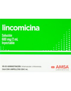 Lincomicina Sol. Iny. 600 mg Amp. C/6 (Amsa)