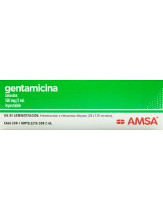 Gentamicina Sol. Iny. 160 mg Amp. C/1 (Amsa)
