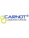Carnot