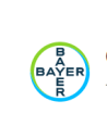 Bayer